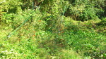 131013sasakifarm2.jpg