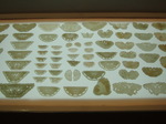 09083020.jpg