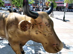 09090508.jpg