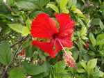 100718_26hagatna_spain.jpg