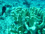 100720_03bluehole.jpg