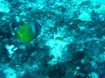 100720_04bluehole.jpg