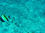 100720_07bluehole.jpg