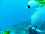 100720_12barracudarock.jpg