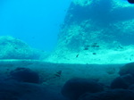 100720_20barracudarock.jpg