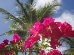 100721_11tumon.jpg