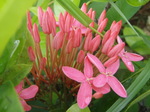 100721_14tumon.jpg