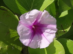 100721_17tumon.jpg