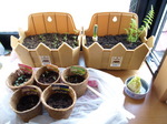 100503jardiner2.jpg