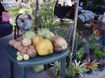 100718_04dededo.jpg