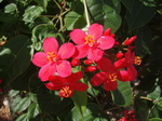 100721_07tumon.jpg