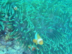 120308_03copton.jpg