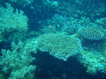 120308_06copton.jpg