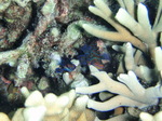 120308_23mandarin.jpg