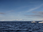 120313_02dolphin.jpg