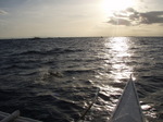 120313_06dolphin.jpg
