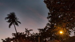120314_21star.jpg