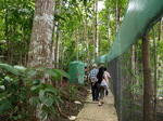 120315_25tarsier.jpg