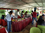 120315_33loboc.jpg