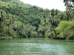 120315_37loboc.jpg