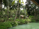 120315_38loboc.jpg
