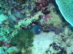 120316_02pungtopwall.jpg
