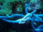 120316_03pungtopwall.jpg