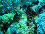 120316_05pungtopwall.jpg