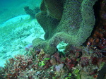 120316_06pungtopwall.jpg