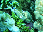 120316_07pungtopwall.jpg