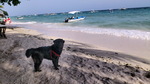 120316_29alona.jpg