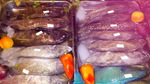 120316_32dinner.jpg