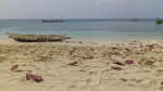 120317_05alona.jpg