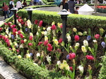 120318_31hongkongpark.jpg