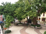 120319_39lirausquare.jpg