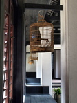 120319_45mandarinhouse.jpg