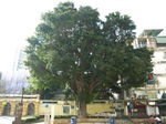 120319_57augustinesquare.jpg