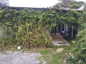 180715munakata1.jpg