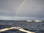 120313_08dolphin.jpg