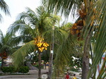 120313_35alonastreet.jpg