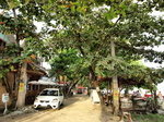 120313_36alonastreet.jpg