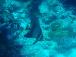 120314_06balicasagdh.jpg