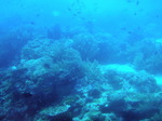120314_07balicasagdh.jpg