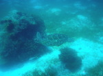 120314_10balicasagdh.jpg