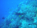 120314_12balicasagdh.jpg