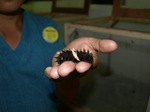 120315_14butterfly.jpg