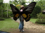 120315_19butterfly.jpg