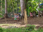 120315_39loboc.jpg