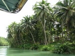 120315_40loboc.jpg