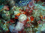 120316_10doljopoint.jpg